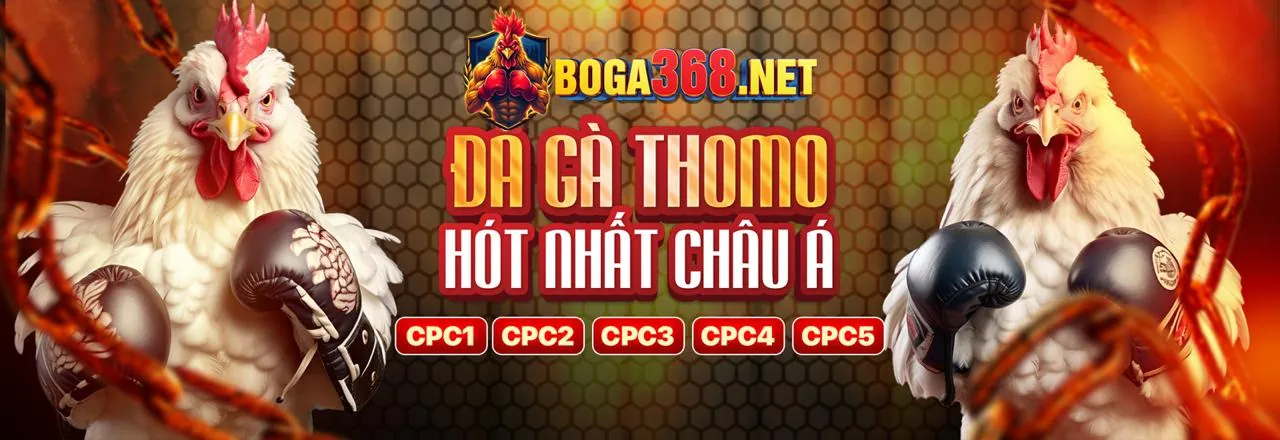 Các Cấp Độ VIP OKVIP Link Mới